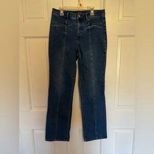 J McLaughlin Classic Preppy Dark Wash Straight Leg Denim Size 6